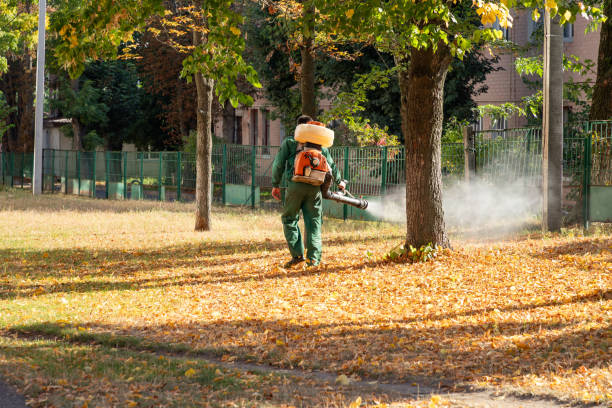 Wildlife Control Services in Lasalle, IL