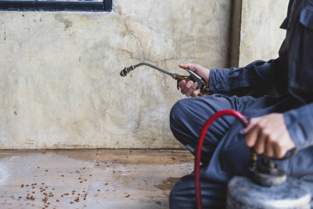 Best Residential Pest Control  in Lasalle, IL